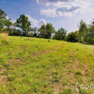 Prodej stavební parcely 2 282 m² Český Šternberk