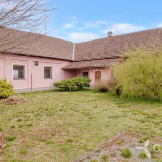 Prodej ostatního komerčního prostoru 196 m² Hřibiny-Ledská Hřibiny