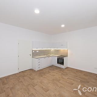 Prodej bytu 1+kk a garsoniéry 30 m² Přerov I-Město, Husova