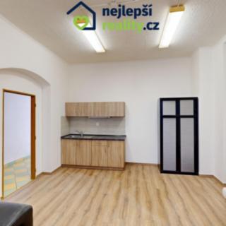 Pronájem bytu 1+kk a garsoniéry 40 m² Louny, Žatecká