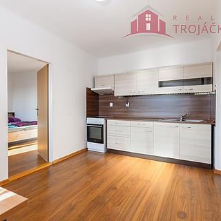 Prodej bytu 1+1 48 m&sup2; Ostrava