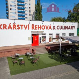 Prodej obchodu 433 m² Ostrava Moravská, Ahepjukova