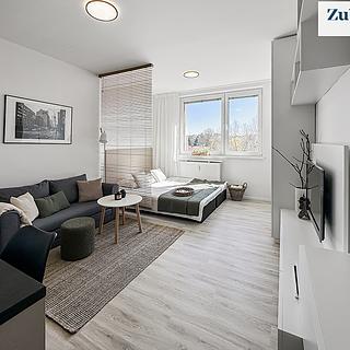 Pronájem bytu 1+kk, garsoniery, 28m&sup2;