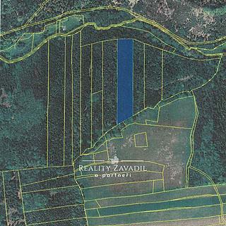 Prodej lesa 11 917 m² Hradec nad Moravicí Filipovice