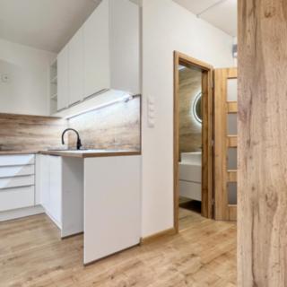 Pronájem bytu 1+1 35 m² Chomutov, Arbesova