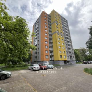 Pronájem bytu 1+1 45 m² Pardubice, nábřeží Závodu míru