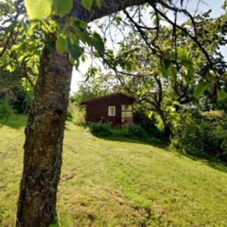 Prodej chaty 13 m² Vrchlabí