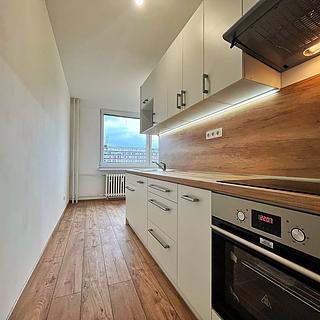 Pronájem bytu 2+1 63 m² Ústí nad Labem Severní Terasa, Pod Parkem