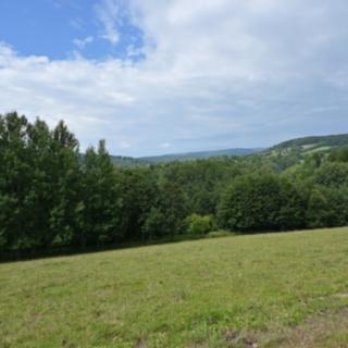 Prodej louky 45 289 m² Lánov Horní