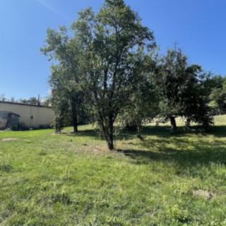 Prodej stavební parcely 813 m² Týnec nad Sázavou Podělusy