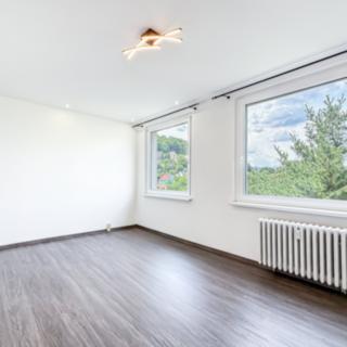 Prodej bytu 2+1 53 m² Ústí nad Labem Střekov, Kamenná