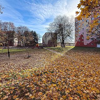 Prodej bytu 3+1 70 m² Chomutov, Marie Pujmanové