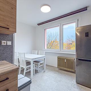 Pronájem bytu 1+1 42 m² Chomutov, Písečná