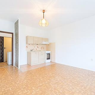 Pronájem bytu 2+kk 40 m² Ústí nad Labem Severní Terasa, Brandtova