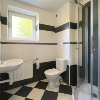 Pronájem bytu 4+1 104 m² Most, J. V. Sládka