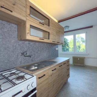 Prodej bytu 1+1 42 m² Chomutov, Písečná
