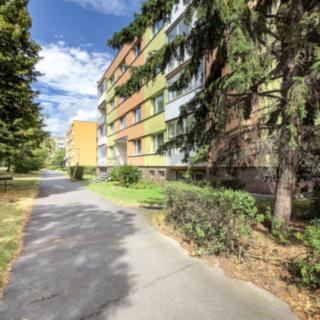 Pronájem bytu 2+1 60 m² Chomutov, Vítězslava Nezvala