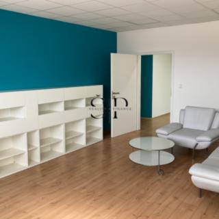 Pronájem kanceláře 35 m² Plzeň Červený Hrádek, Červenohrádecká