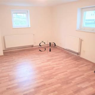 Pronájem bytu 1+kk, garsoniery 40 m² Dražeň