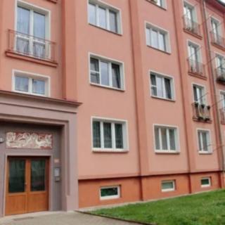 Pronájem bytu 2+1 66 m² Ostrov, S. K. Neumanna