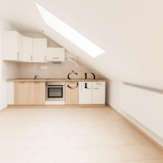 Pronájem bytu 3+kk 70 m² Dražeň