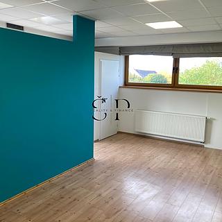 Pronájem obchodu 35 m² Plzeň Červený Hrádek, Červenohrádecká