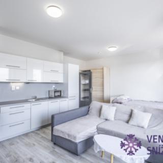 Pronájem bytu 1+kk a garsoniéry 41 m² Mladá Boleslav Michalovice