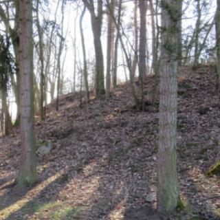 Dražba lesa 394 m² Čerčany, Nad Řekou