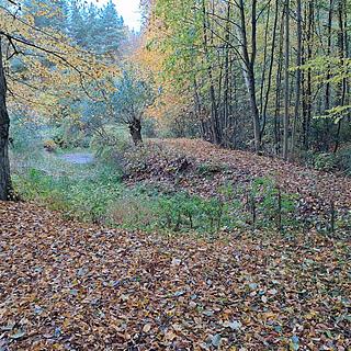 Dražba zahrady 1 161 m² Chlístovice Zdeslavice