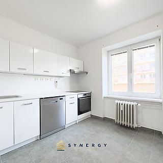 Pronájem bytu 1+1 28 m² Pardubice, Na Okrouhlíku