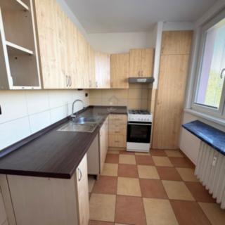 Pronájem bytu 1+1 40 m² Ostrava Hrabůvka, Dr. Martínka