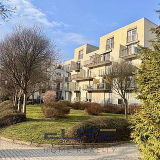 Pronájem bytu 1+1 58 m² Liberec VI-Rochlice, Hedvábná