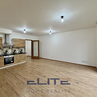 Pronájem bytu 1+kk, garsoniery 41 m&sup2; Liberec