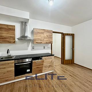 Pronájem bytu 1+kk a garsoniéry 41 m² Liberec XX-Ostašov, Vysoká