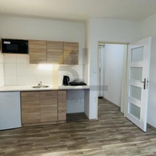 Pronájem bytu 1+kk a garsoniéry 24 m² Břeclav, J. Palacha