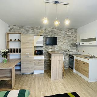 Pronájem bytu 1+kk a garsoniéry 20 m² Velké Bílovice, Mírová