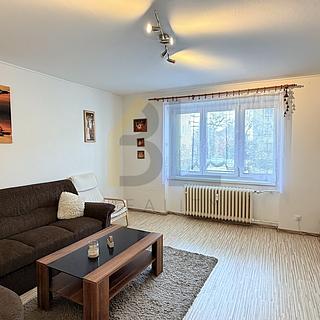 Pronájem bytu 2+1 65 m² Hodonín, U Červených domků