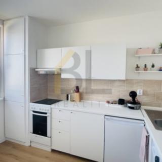 Pronájem bytu 2+1 45 m² Hodonín, Vřesová