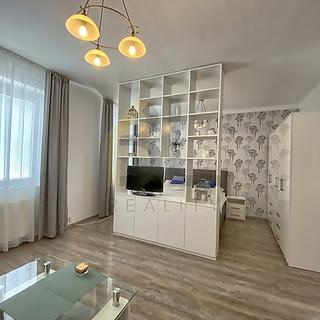 Pronájem bytu 1+1 54 m² Hodonín