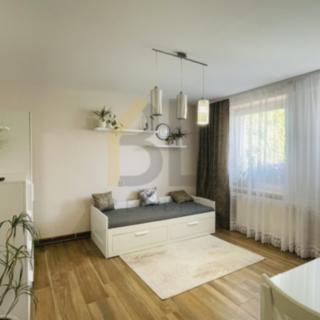 Pronájem bytu 1+kk, garsoniery 20 m² Velké Bílovice
