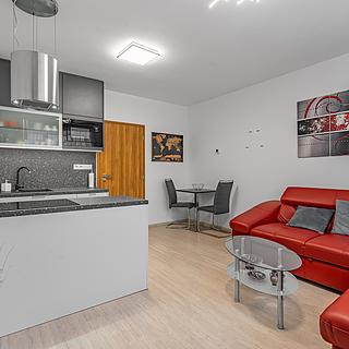Prodej bytu 2+kk 46 m² Brno Židenice, Letní