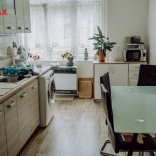 Prodej bytu 1+1 48 m² Děčín XI-Horní Žleb, Labské nábř.