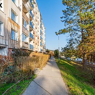 Pronájem bytu 2+1 63 m² Děčín IX-Bynov, Na Pěšině