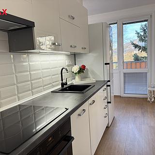 Pronájem bytu 2+1 50 m² Děčín
