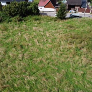 Prodej louky, 931m²