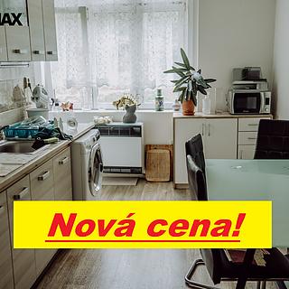 Prodej bytu 1+1 48 m² Děčín XI-Horní Žleb, Labské nábř.