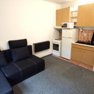 Prodej bytu 1+kk a garsoniéry 20 m² Děčín III-Staré Město, Jezdecká