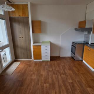 Prodej bytu 1+1 52 m² Děčín III-Staré Město, Příčná