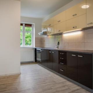Pronájem bytu 1+1 40 m² Děčín II-Nové Město, Kamenická