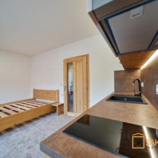 Prodej bytu 1+kk a garsoniéry 28 m² Černý Důl